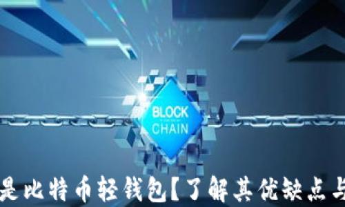 
究竟什么是比特币轻钱包？了解其优缺点与使用方法