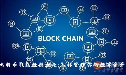 比特币钱包数据大小：怎样管理你的数字资产？