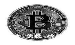 全面解析Coinomi钱包：安全、便捷、功能强大的数