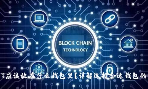 USDT应该放在什么钱包里？详解选择合适钱包的要素