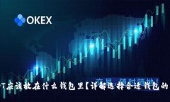 USDT应该放在什么钱包里？详解选择合适钱包的要