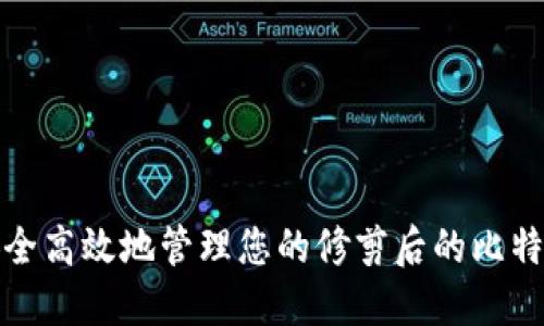 如何安全高效地管理您的修剪后的比特币钱包