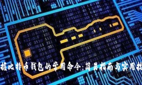 掌握比特币钱包的常用命令：简易指南与实用技巧