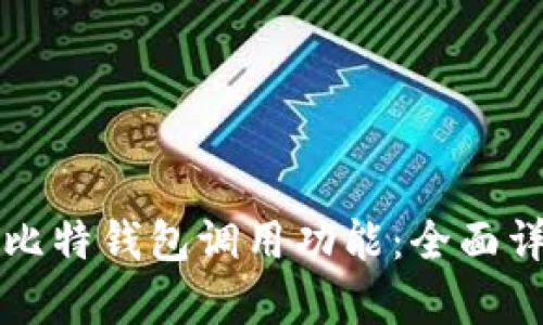 如何有效使用比特钱包调用功能：全面详解与实用指南