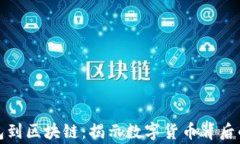 从钱包到区块链：揭示数