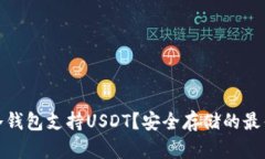 哪些冷钱包支持USDT？安全