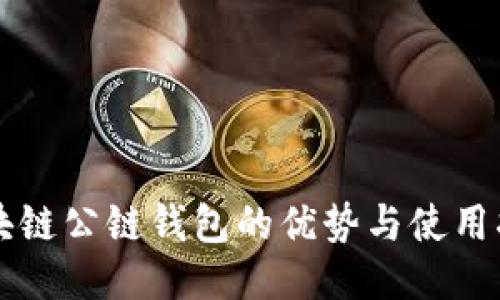 区块链公链钱包的优势与使用指南