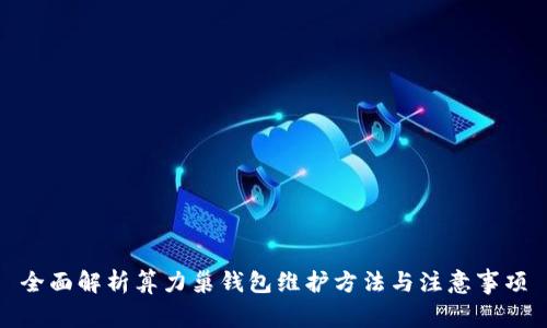 全面解析算力巢钱包维护方法与注意事项