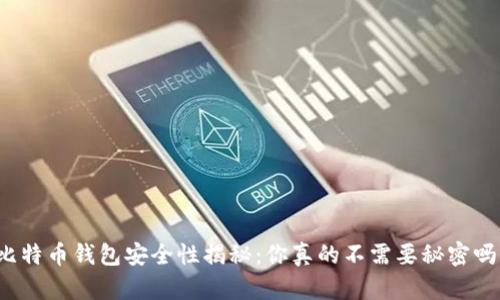 比特币钱包安全性揭秘：你真的不需要秘密吗？