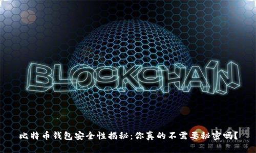 比特币钱包安全性揭秘：你真的不需要秘密吗？