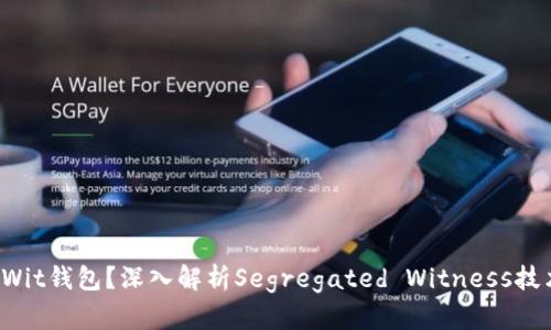 什么是SegWit钱包？深入解析Segregated Witness技术及其优势