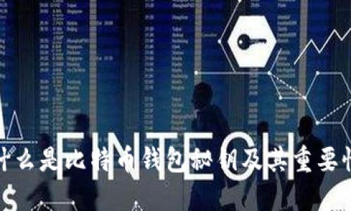 什么是比特币钱包秘钥及其重要性