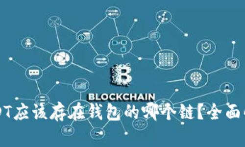 USDT应该存在钱包的哪个链？全面解析