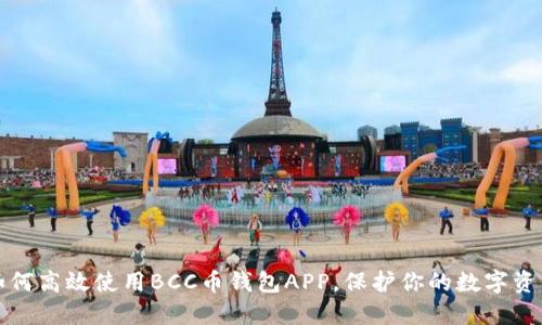 如何高效使用BCC币钱包APP，保护你的数字资产